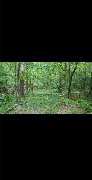 2877 Heather Row Ridge Southwest Lilburn, GA 30047 - Photo 6 of 10