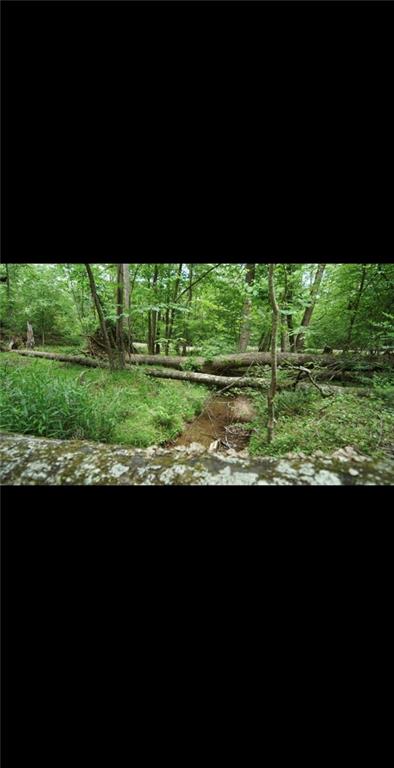 2877 Heather Row Ridge Southwest Lilburn, GA 30047 - Photo 8 of 10