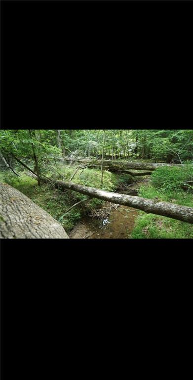 2877 Heather Row Ridge Southwest Lilburn, GA 30047 - Photo 9 of 10