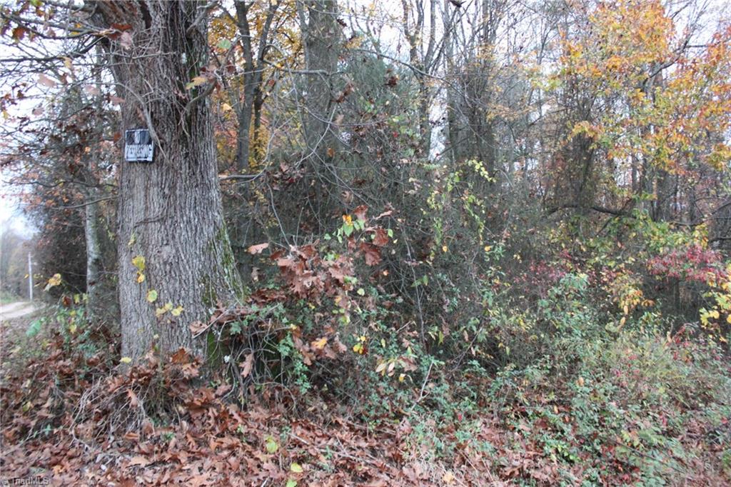 347 McKinley Road Roaring River, NC 28669 - Photo 1 of 3 Gallery Image 1