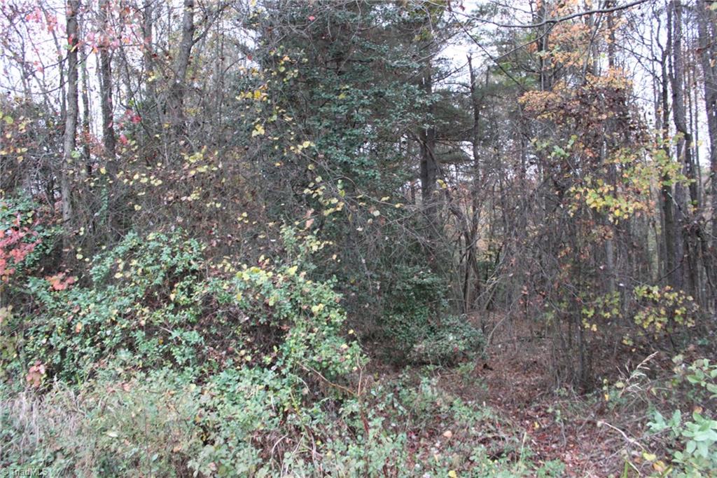 347 McKinley Road Roaring River, NC 28669 - Photo 3 of 3 Gallery Image 3