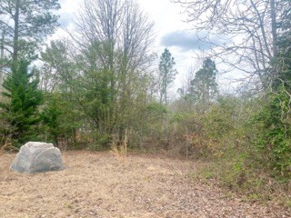 1177 Colbert Bridge Road Aiken, SC 29803 - Photo 4 of 7
