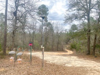 1177 Colbert Bridge Road Aiken, SC 29803 - Photo 5 of 7