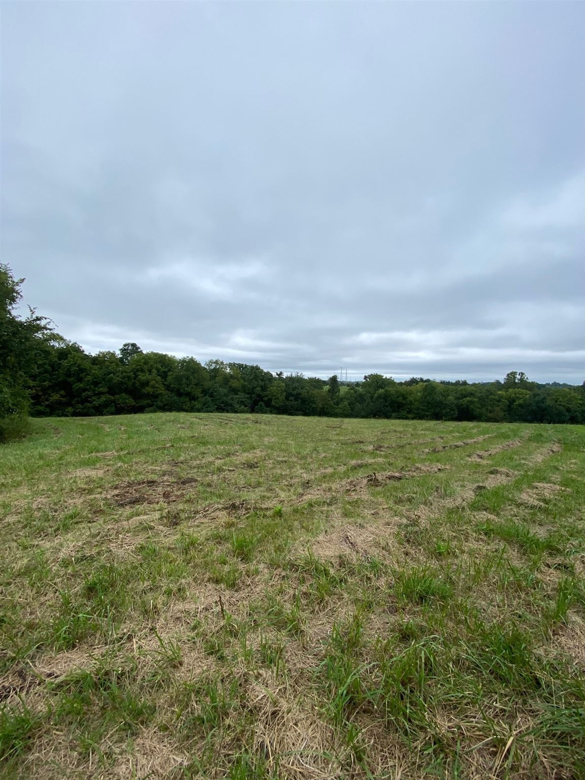 3 Baton Rouge Road Williamstown, KY 41097 - Photo 6 of 25