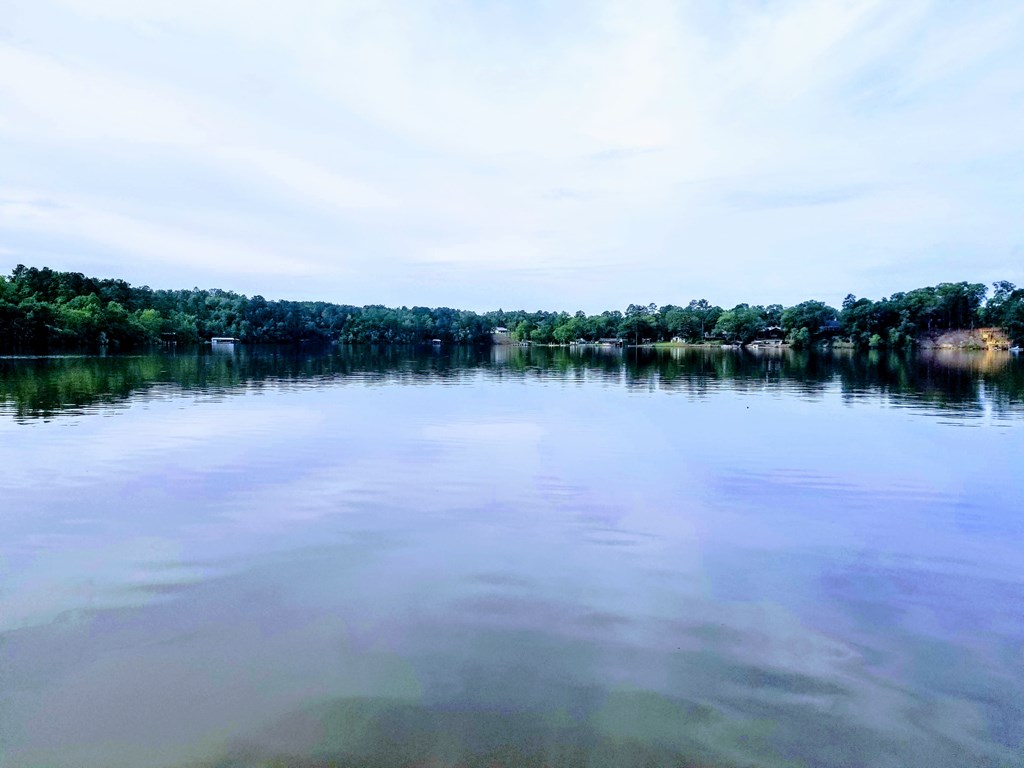 0 Sandy Landing Road Andalusia, AL 36421 - Photo 7 of 8