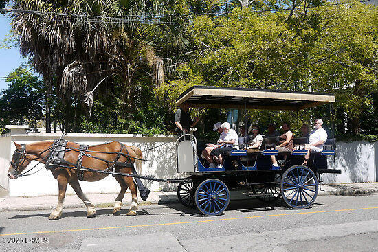 1202 Barnwell Bluff Beaufort, SC 29902 - Photo 37 of 37 horse_carriage