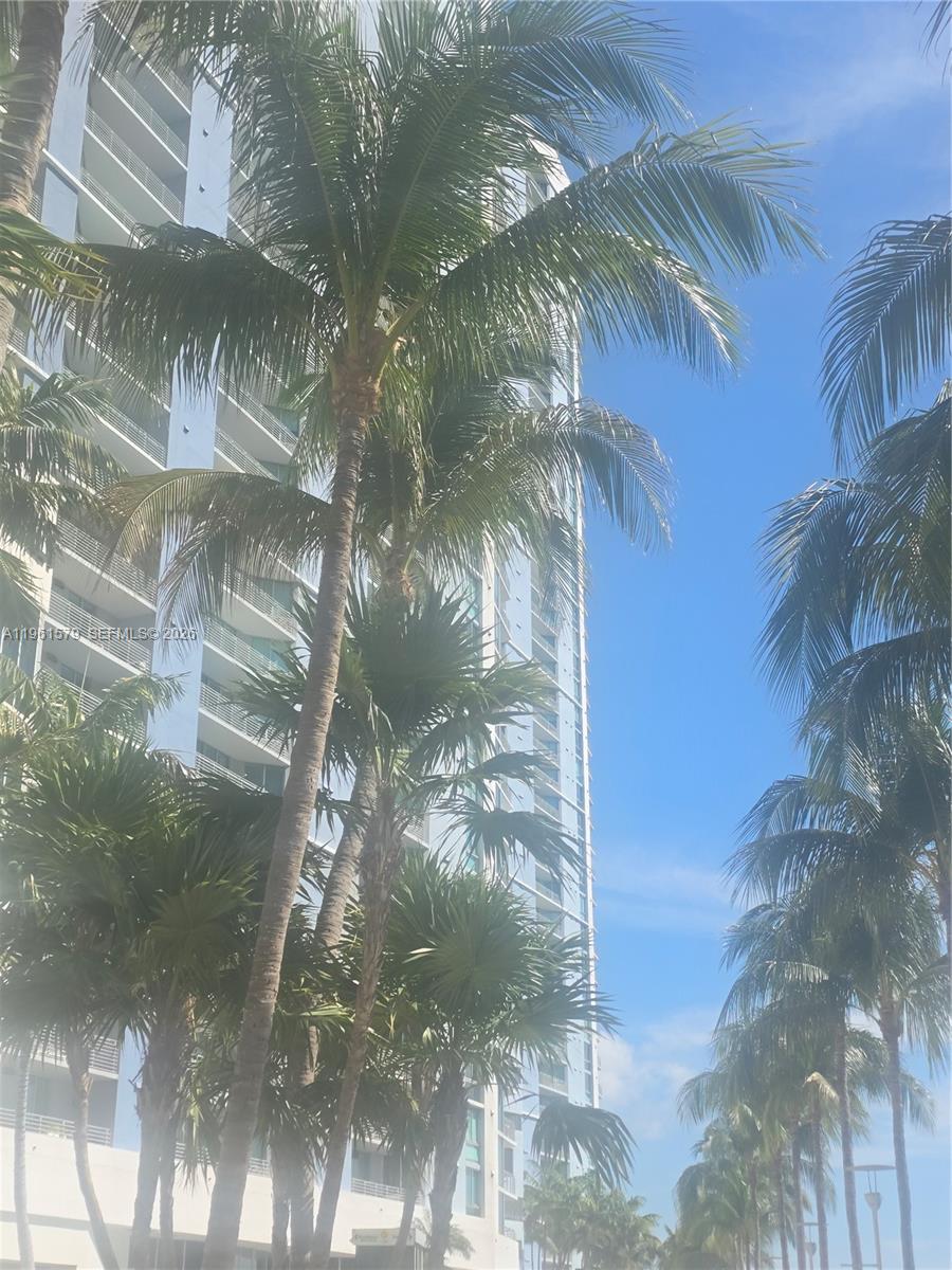 335 South Biscayne Boulevard, Unit 3400 Miami, FL 33131 - Photo 50 of 52 a view of backyard of a house