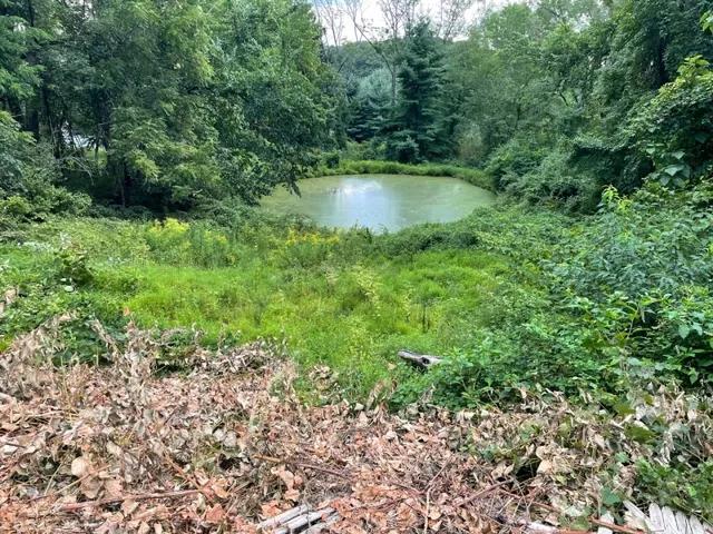 a view of a green field with lots of bushes