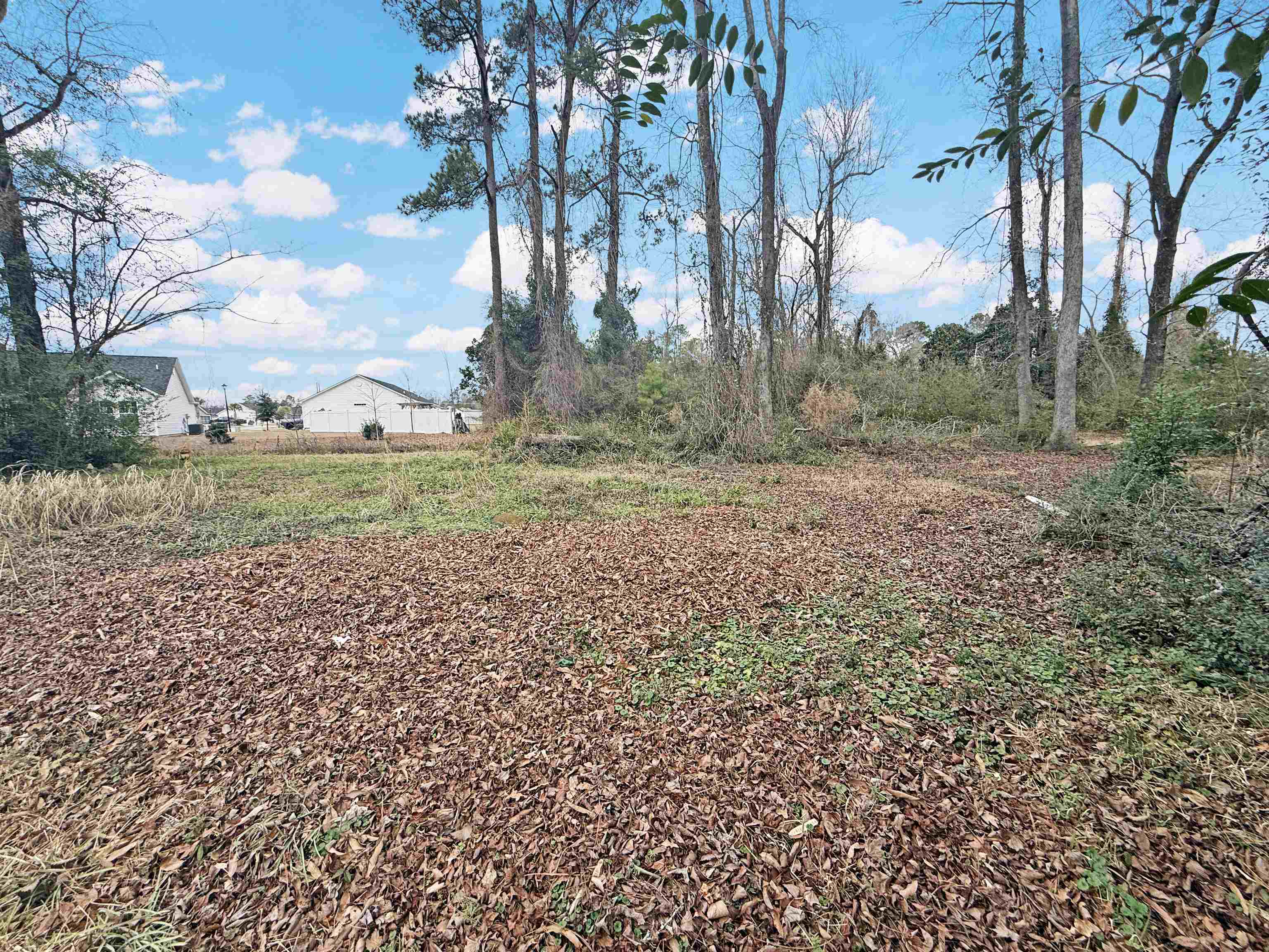 2608 Grainger Circle Conway, SC 29527 - Photo 8 of 12