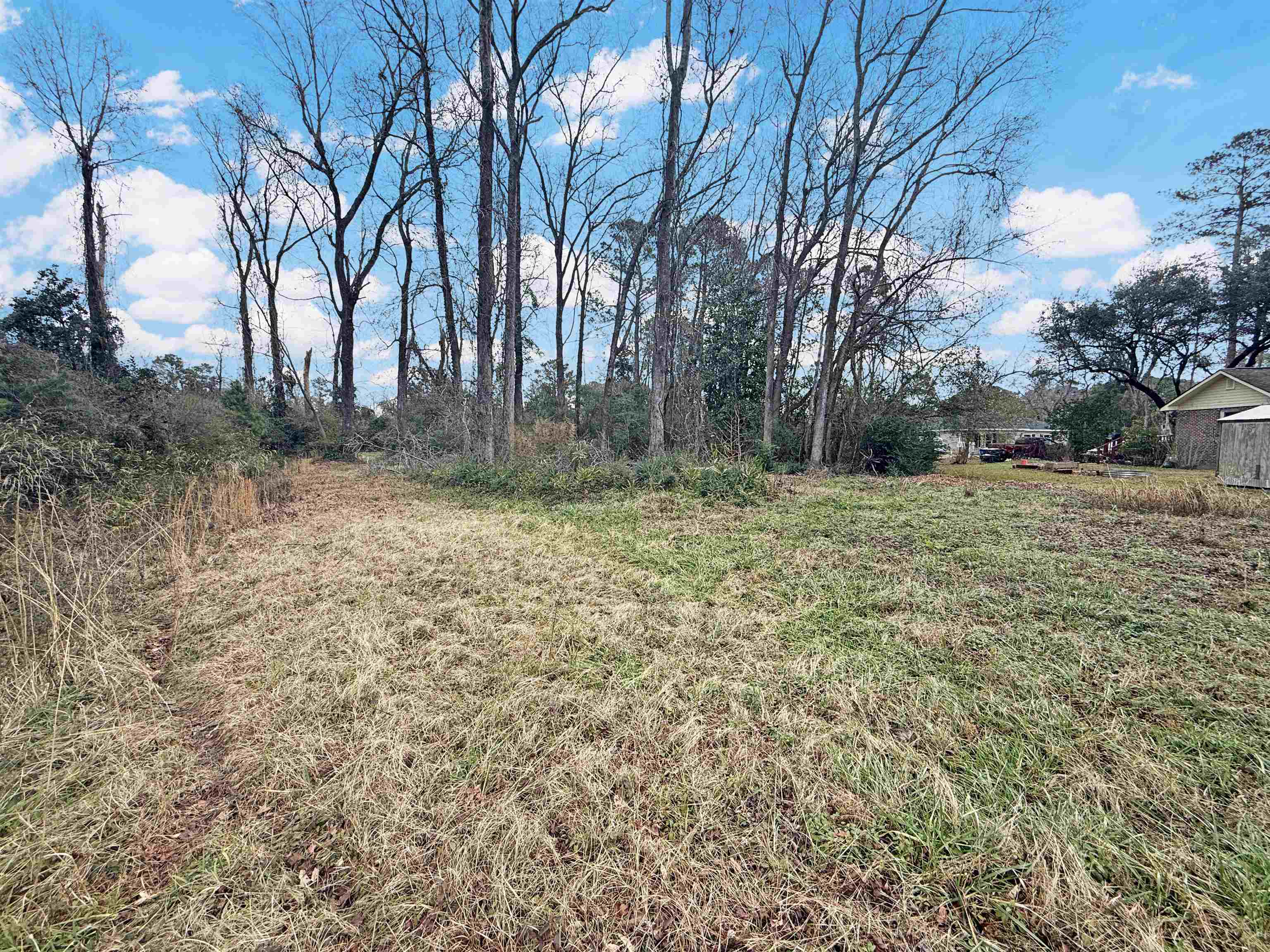 2608 Grainger Circle Conway, SC 29527 - Photo 10 of 12