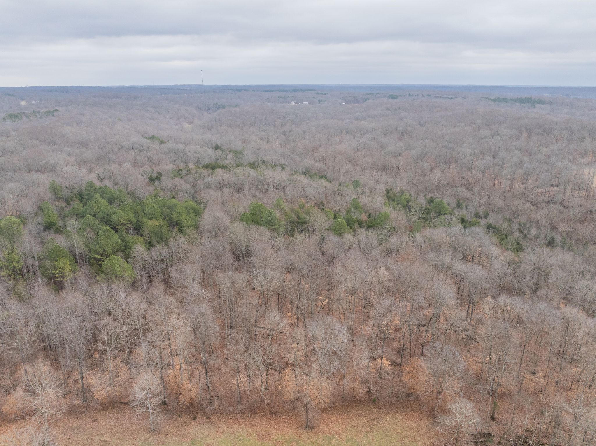 0 Wiley Branch Road Dickson, TN 37055 - Photo 8 of 27