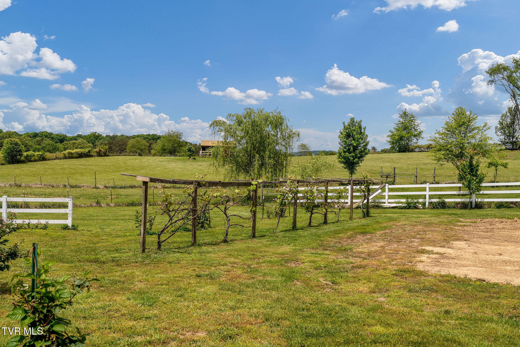 1385 Wilhoit Road Chuckey, TN 37641 - Photo 91 of 126 DSC08886