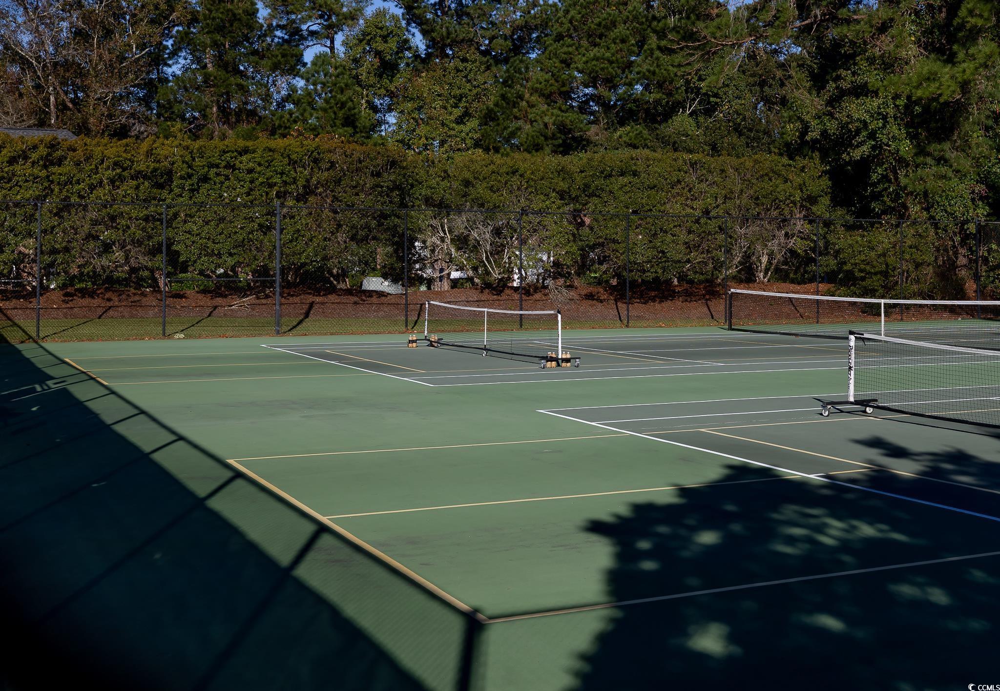 9833 Winchester Court Murrells Inlet, SC 29576 - Photo 3 of 29 Gallery Image 3