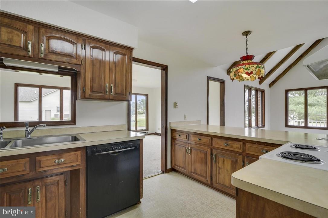 4 Arnell Road Rehoboth Beach, DE 19971 - Photo 22 of 45 Gallery Image 22