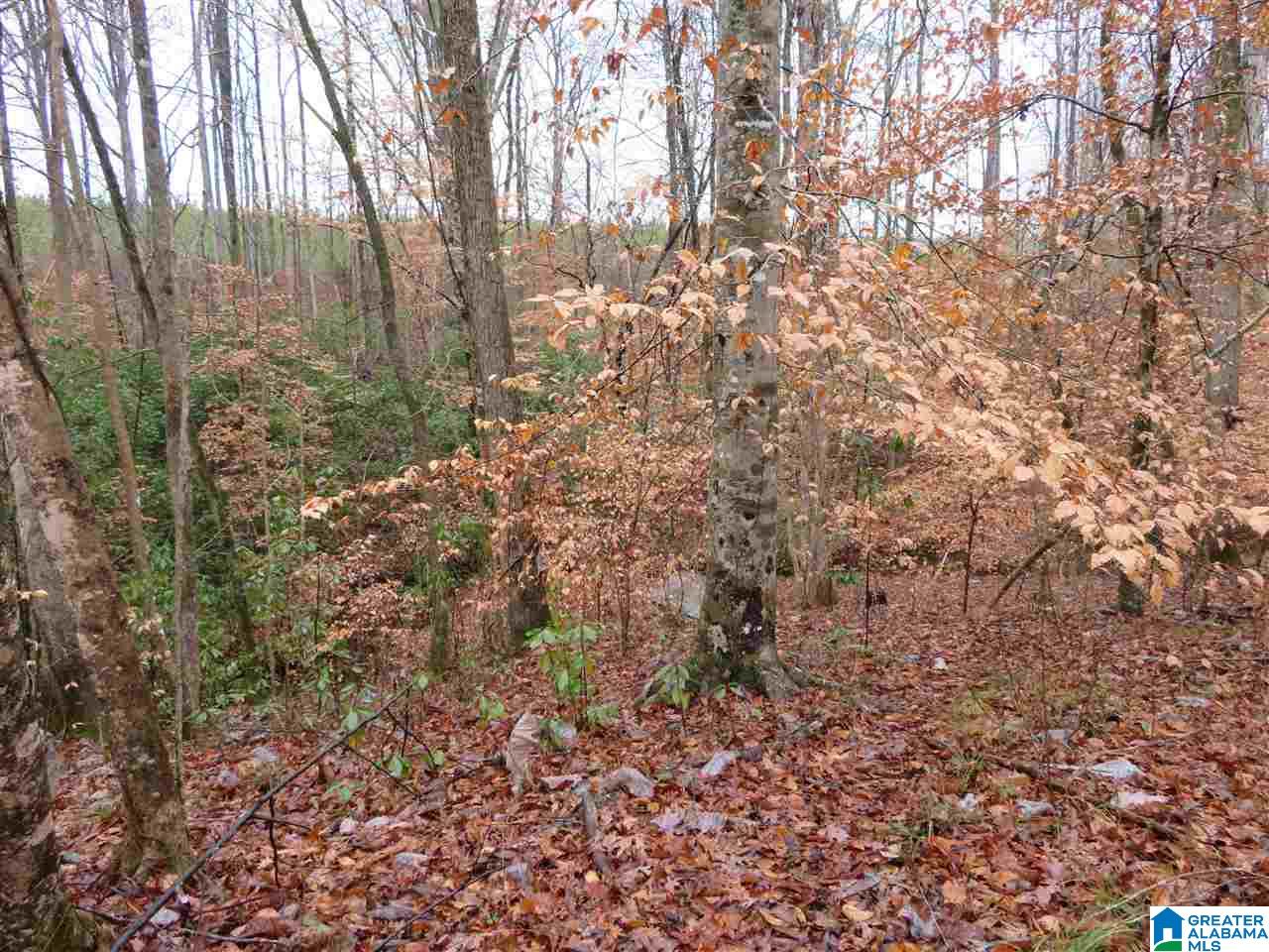 138 Cedar Grove Road West Blocton, AL 35184 - Photo 28 of 44
