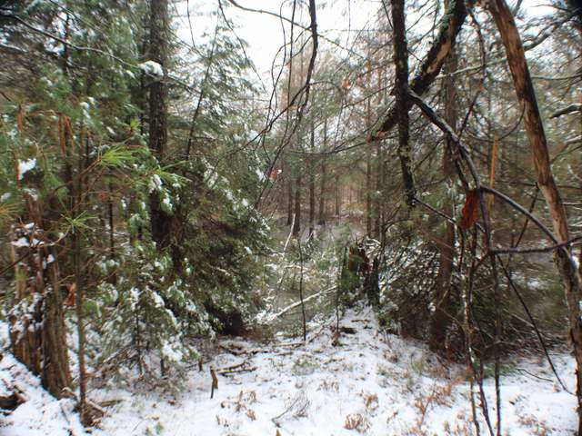 Lot On Birchwood Drive Rhinelander, WI 54501 - Photo 7 of 7 Gallery Image 7