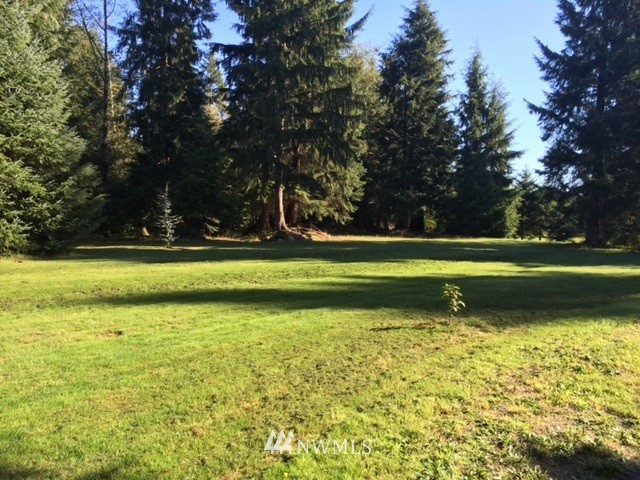 264 River Park Road Forks, WA 98331 - Photo 2 of 7 Gallery Image 2