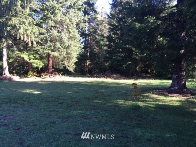 264 River Park Road Forks, WA 98331 - Photo 3 of 7 Gallery Image 3