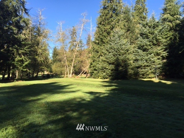 264 River Park Road Forks, WA 98331 - Photo 4 of 7 Gallery Image 4