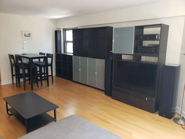 $2,500 | 535 North Michigan Avenue, Unit 1508, Chicago, IL 60611