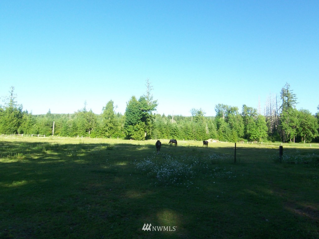 1004 Mox Chehalis Road McCleary, WA 98557 - Photo 23 of 25 Gallery Image 23