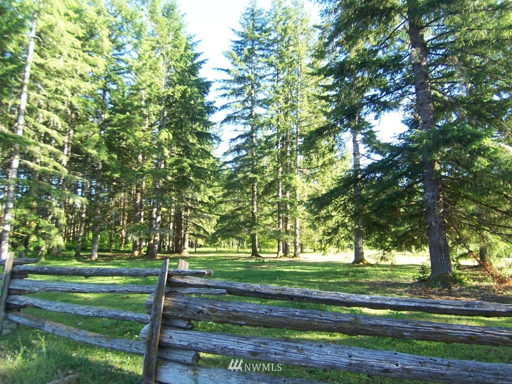 1004 Mox Chehalis Road McCleary, WA 98557 - Photo 25 of 25 Gallery Image 25