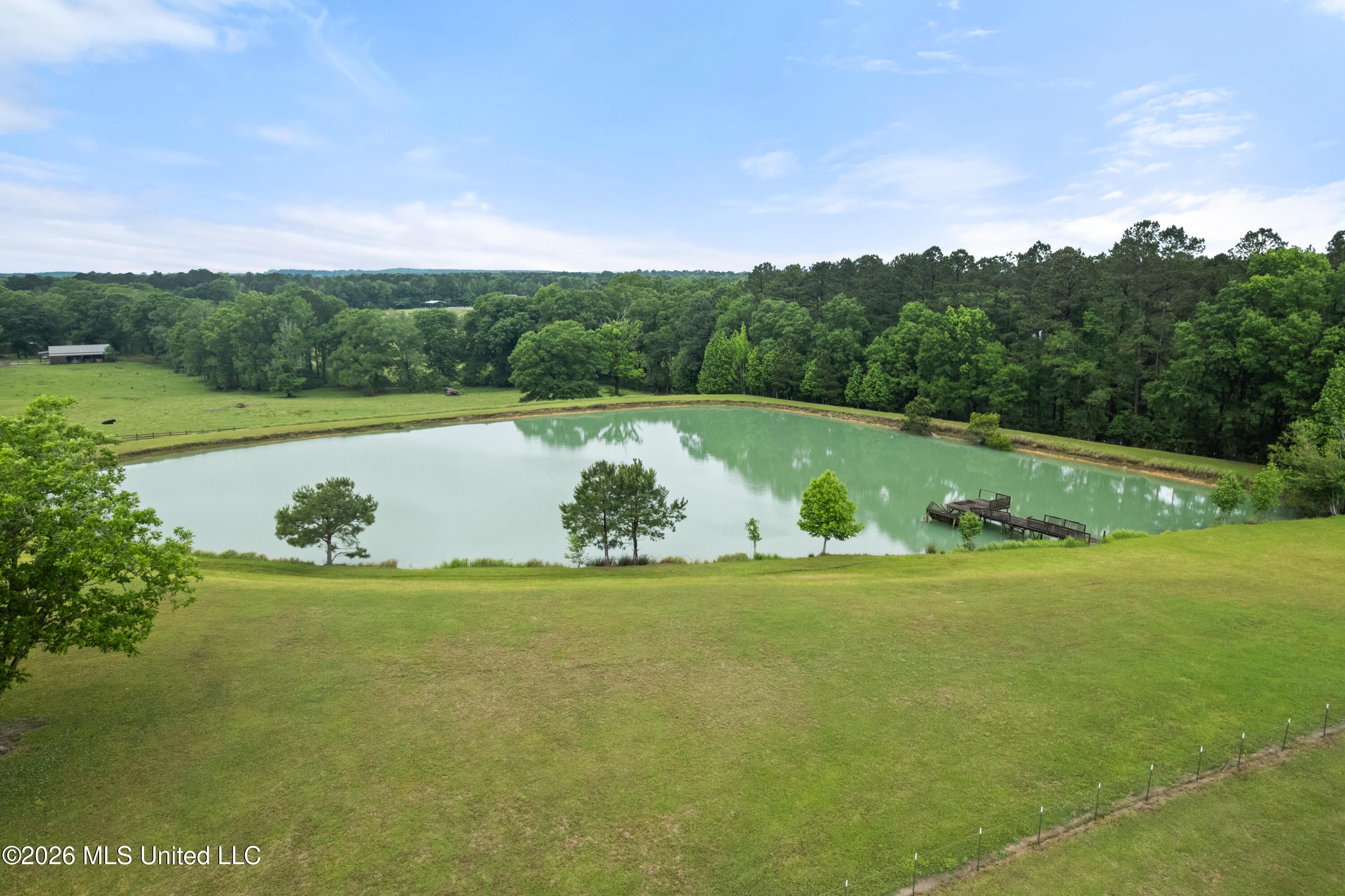 1329 Grantham Road Sumrall, MS 39482 - Photo 3 of 58 1329_Grantham_Road-58
