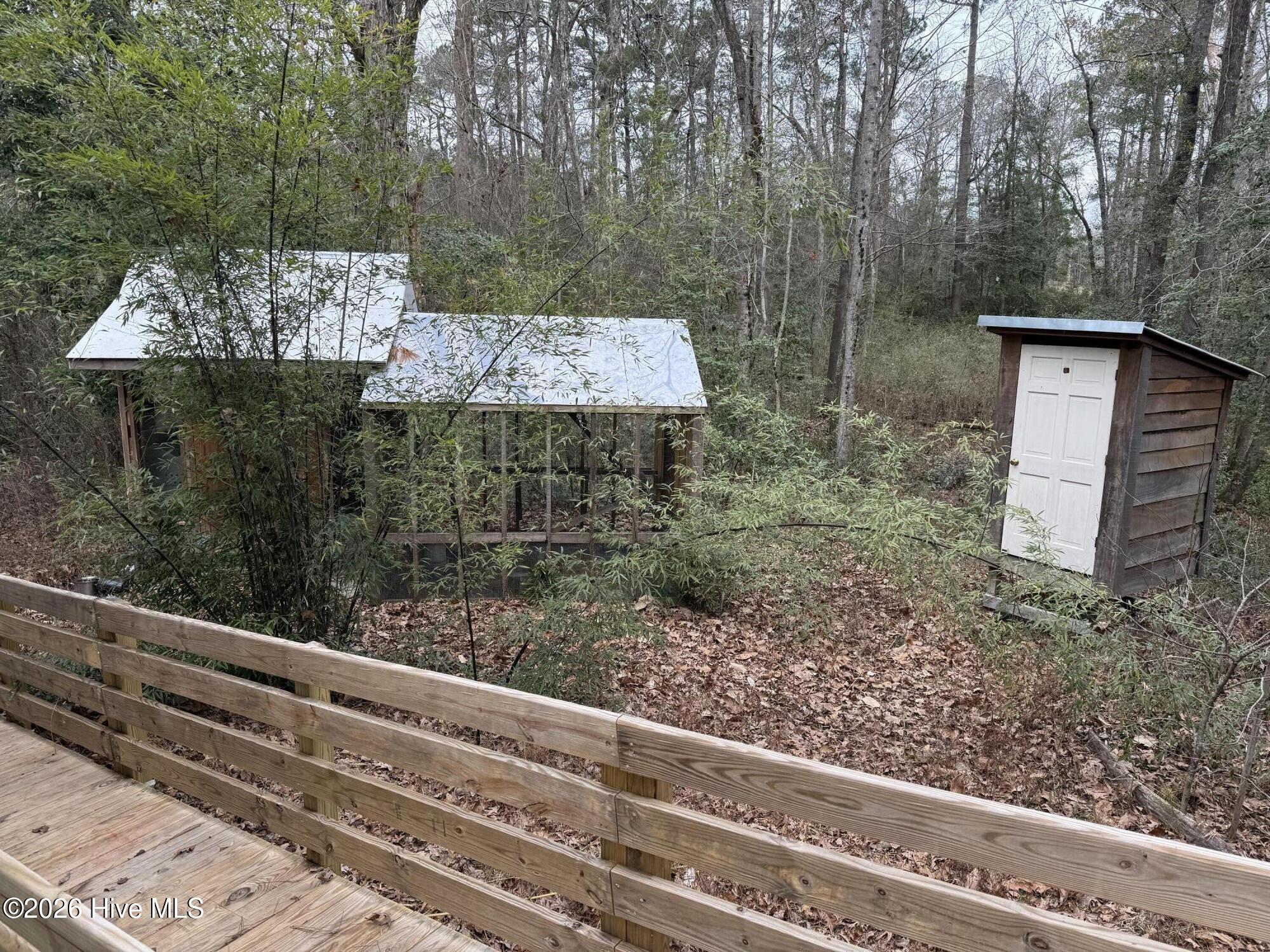 4529 Bell Williams Road Currie, NC 28435 - Photo 11 of 17 IMG_7734