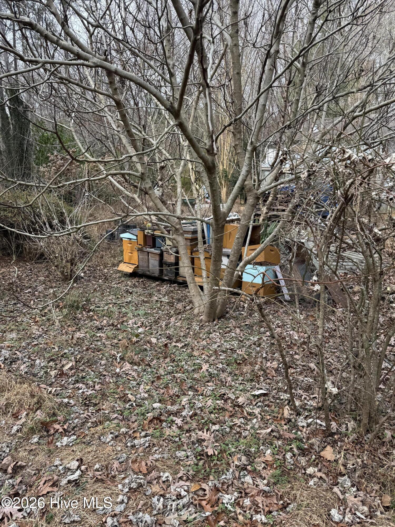 4529 Bell Williams Road Currie, NC 28435 - Photo 14 of 17 IMG_7745