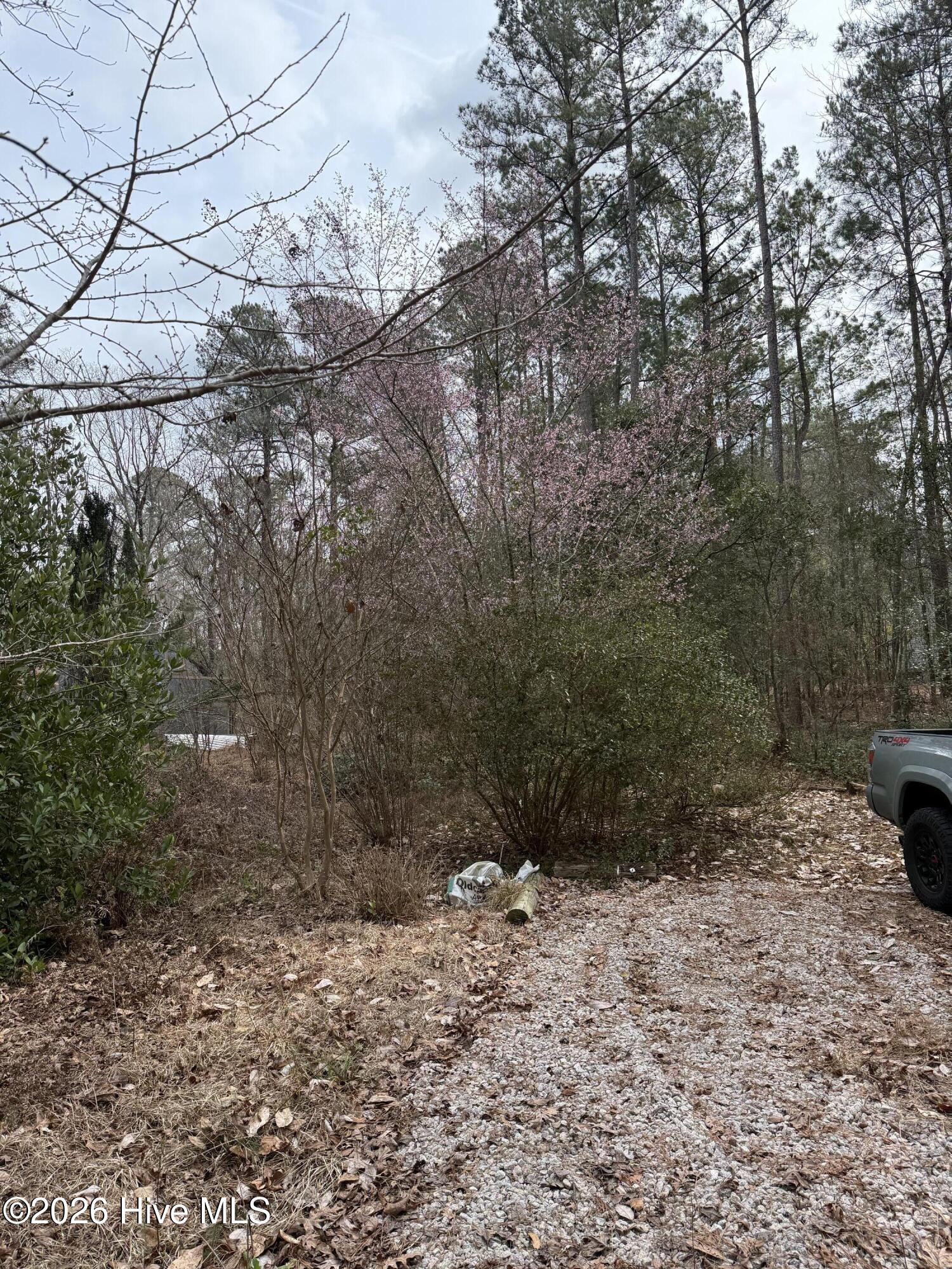 4529 Bell Williams Road Currie, NC 28435 - Photo 17 of 17 IMG_7763