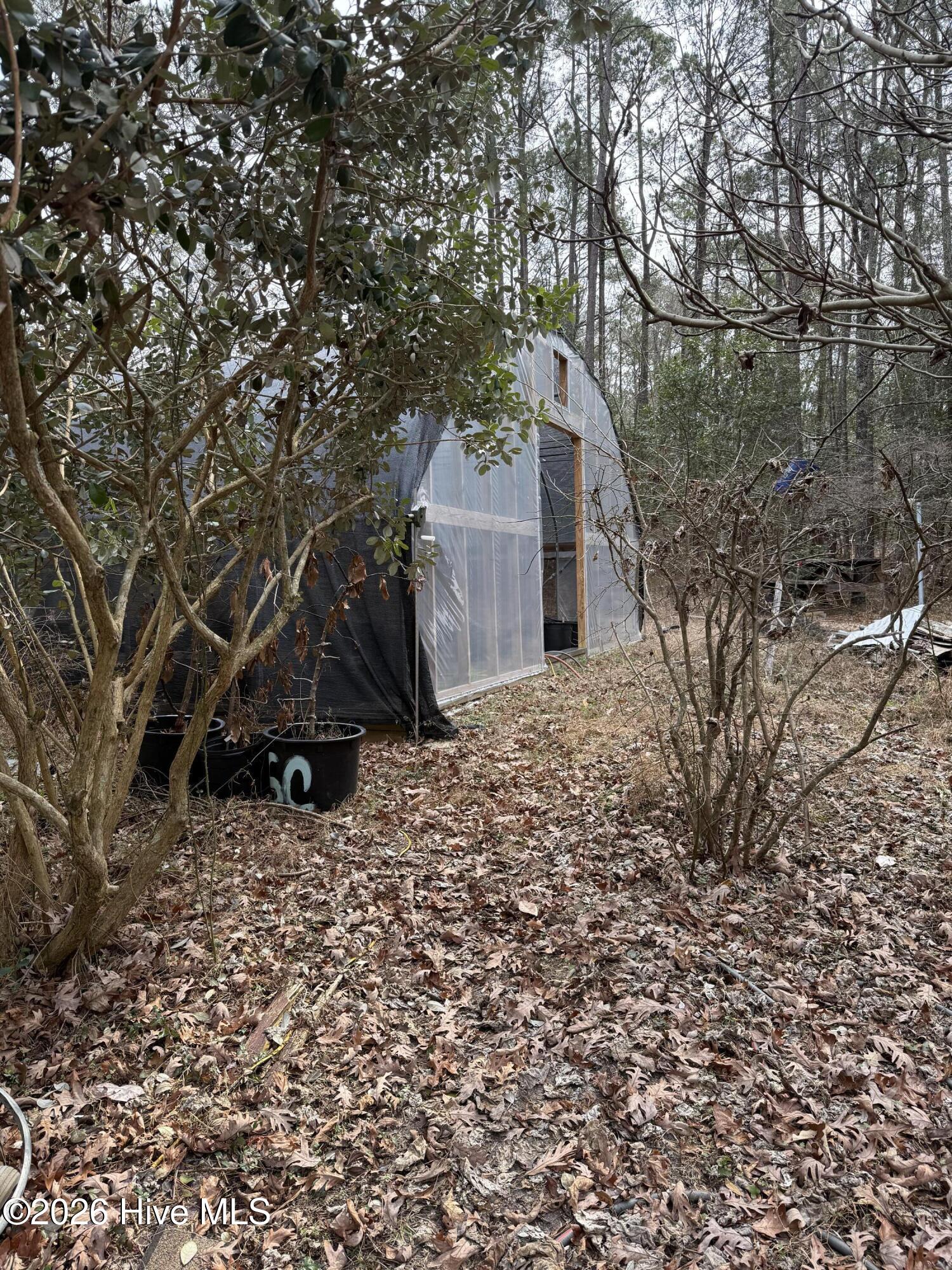 4529 Bell Williams Road Currie, NC 28435 - Photo 8 of 17 IMG_7743