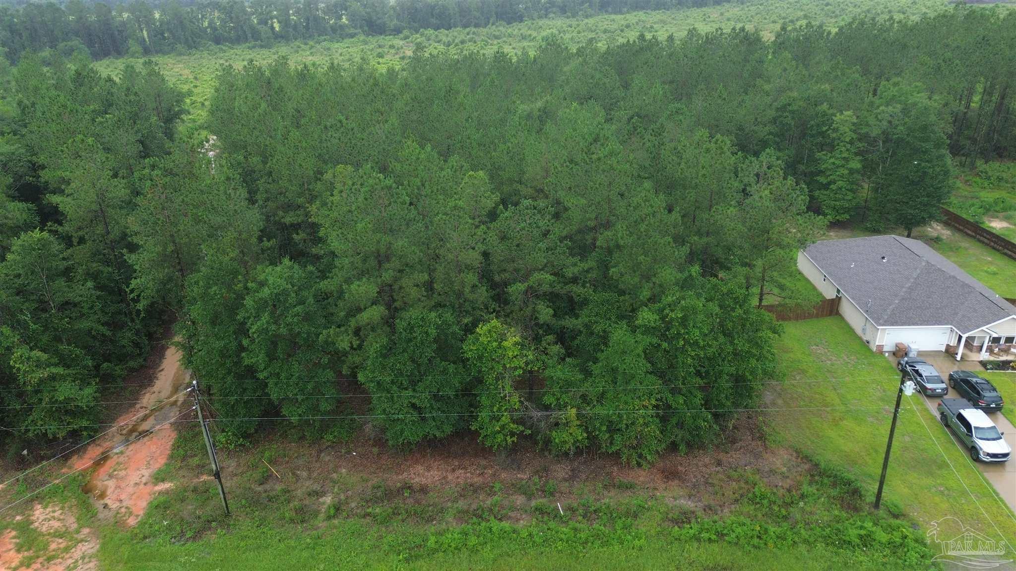 Lot 86 Pineview Church Road Jay, FL 32565 - Photo 6 of 6