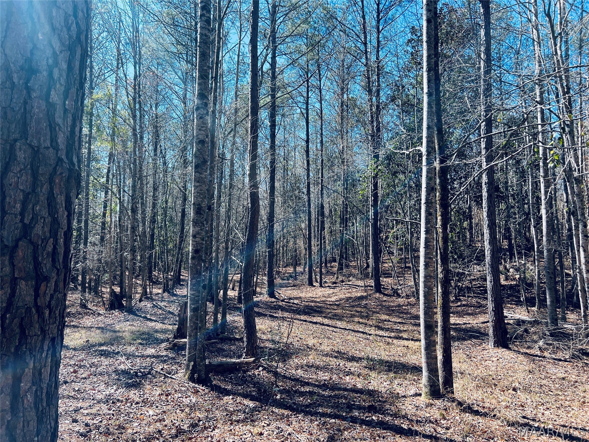 0 Old Meriwether Trail Lapine, AL 36046 - Photo 18 of 25 Gallery Image 18