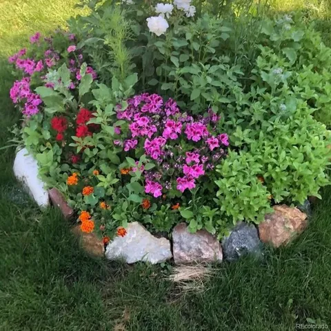 $730,000 | 165 Yellowfield Way, Erie, CO 80516