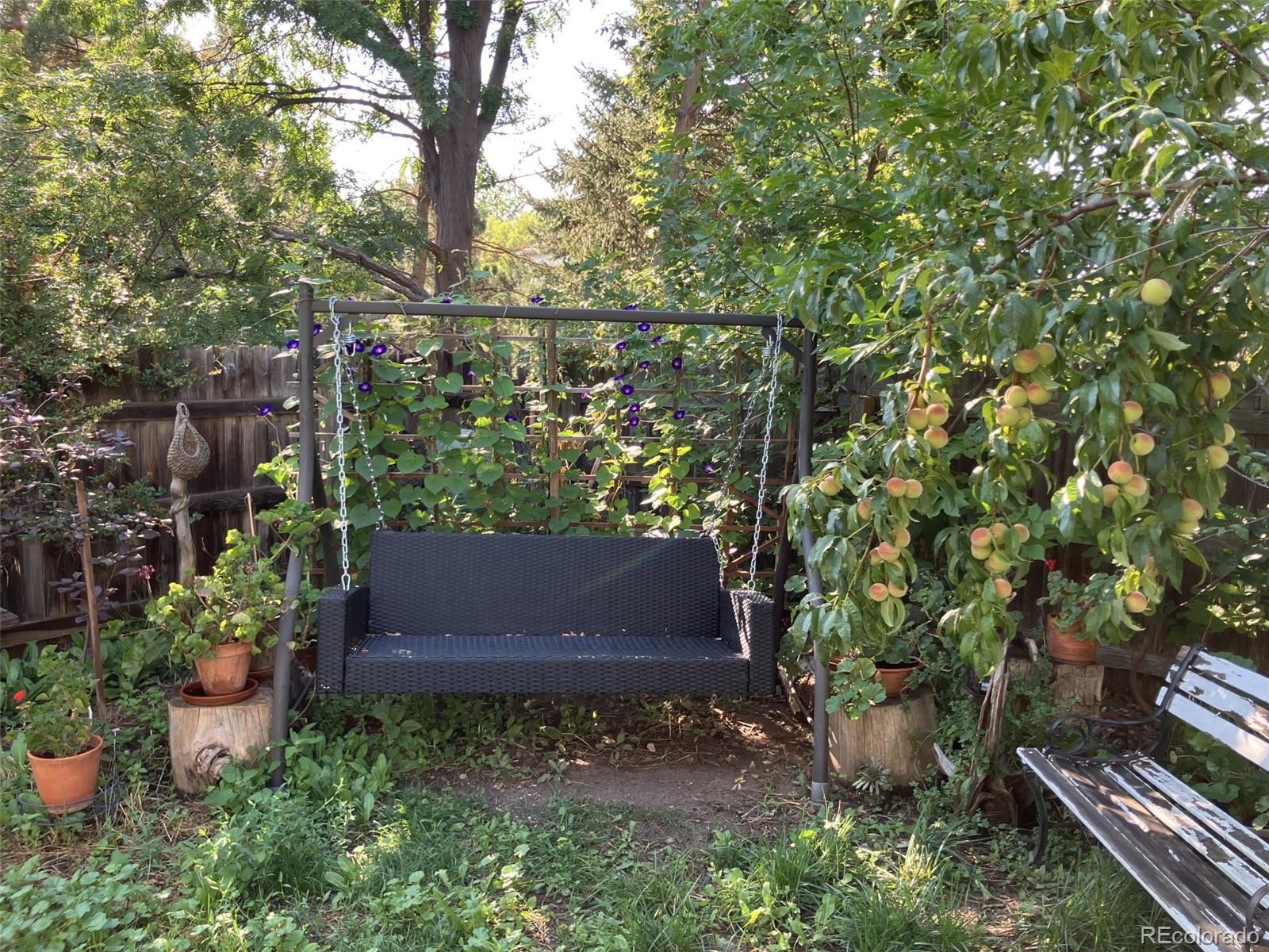 165 Yellowfield Way Erie, CO 80516 - Photo 39 of 40