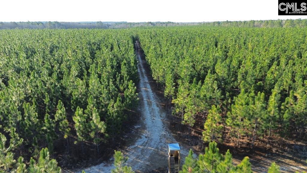 Holstein Road Wagener, SC 29164 - Photo 2 of 26