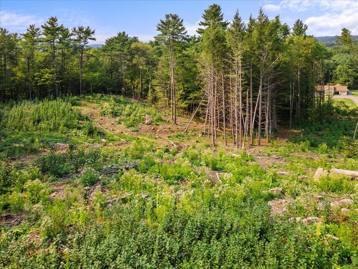 0 Colchester Pond Road Colchester, VT 05446 - Photo 4 of 10 Gallery Image 4