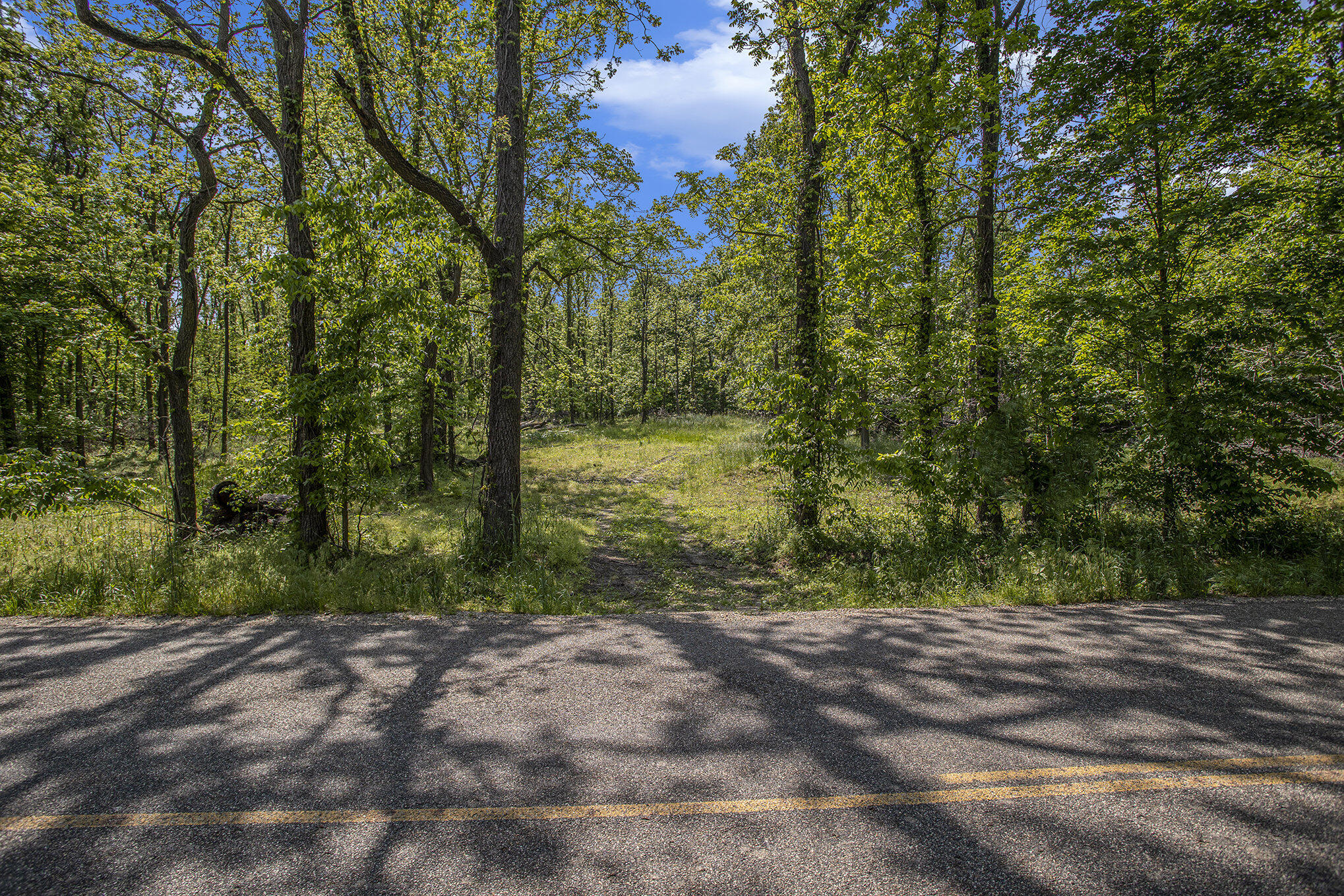 23 23 Mile Road Marshall, MI 49068 - Photo 11 of 19 013_file_957
