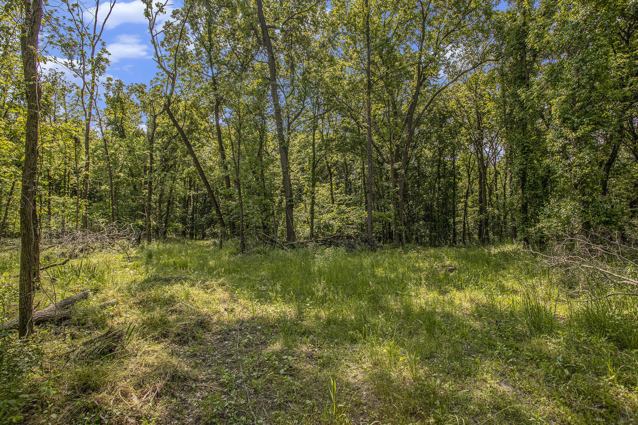 23 23 Mile Road Marshall, MI 49068 - Photo 16 of 19 018_file_191