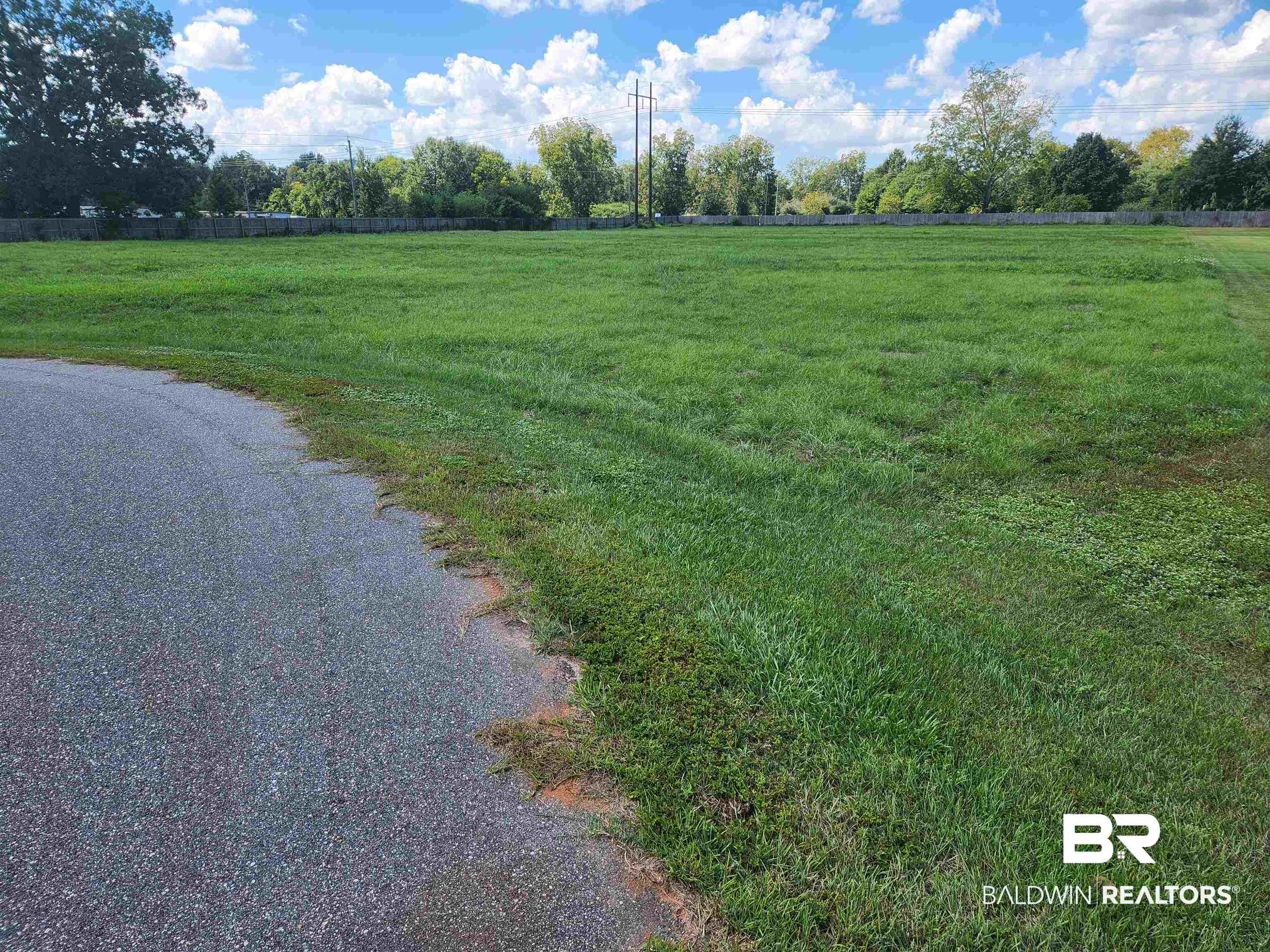 13035 Gopher Court Elberta, AL 36530 - Photo 2 of 4 View of asphalt street featuring a rural view
