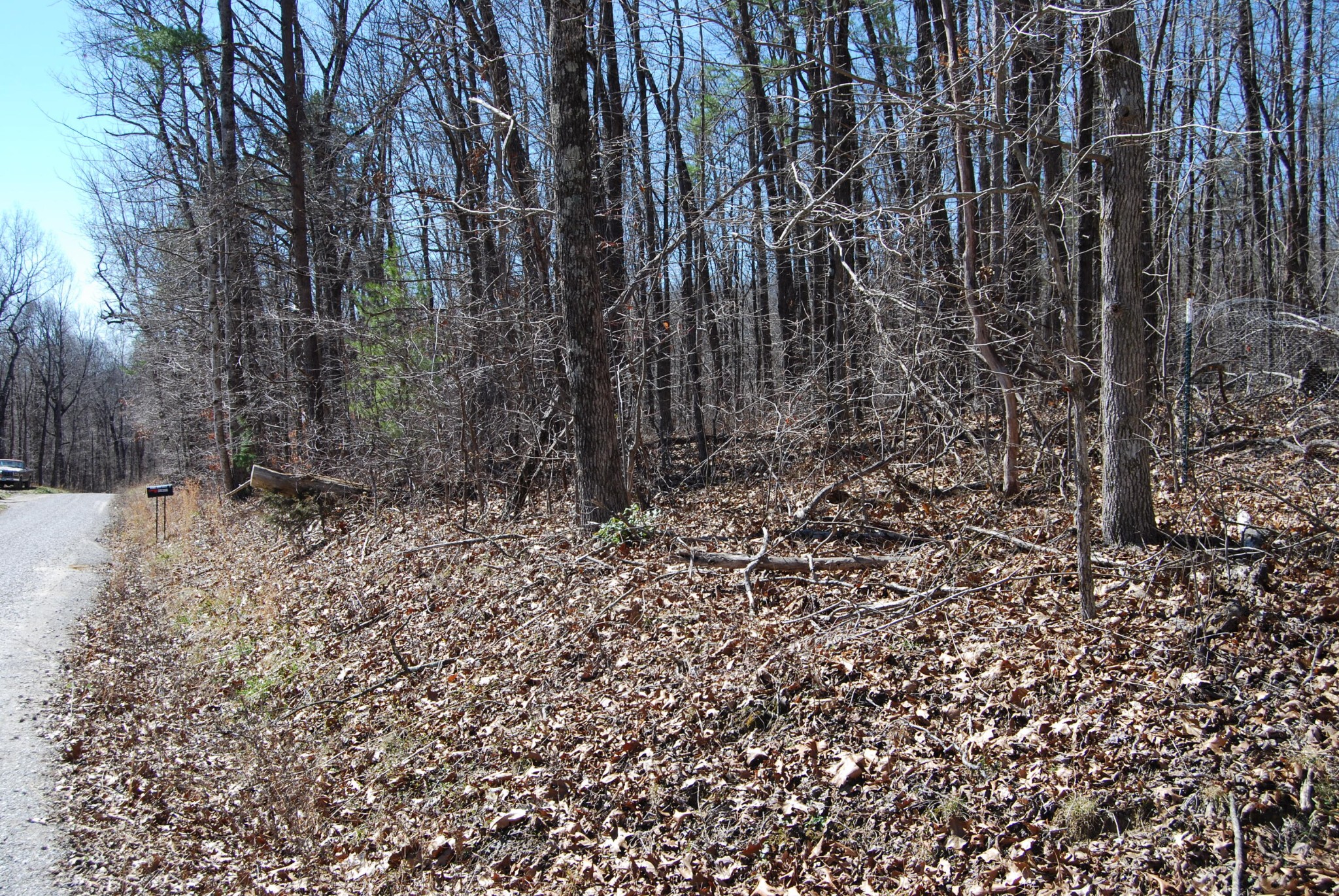 1415 Log Road Spring City, TN 37381 - Photo 5 of 34 a view of a yard with plants and tree