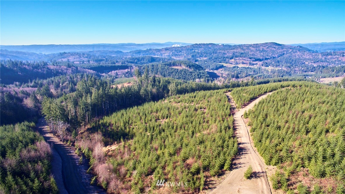 2 North Bodine Road Kelso, WA 98626 - Photo 1 of 12 Gallery Image 1