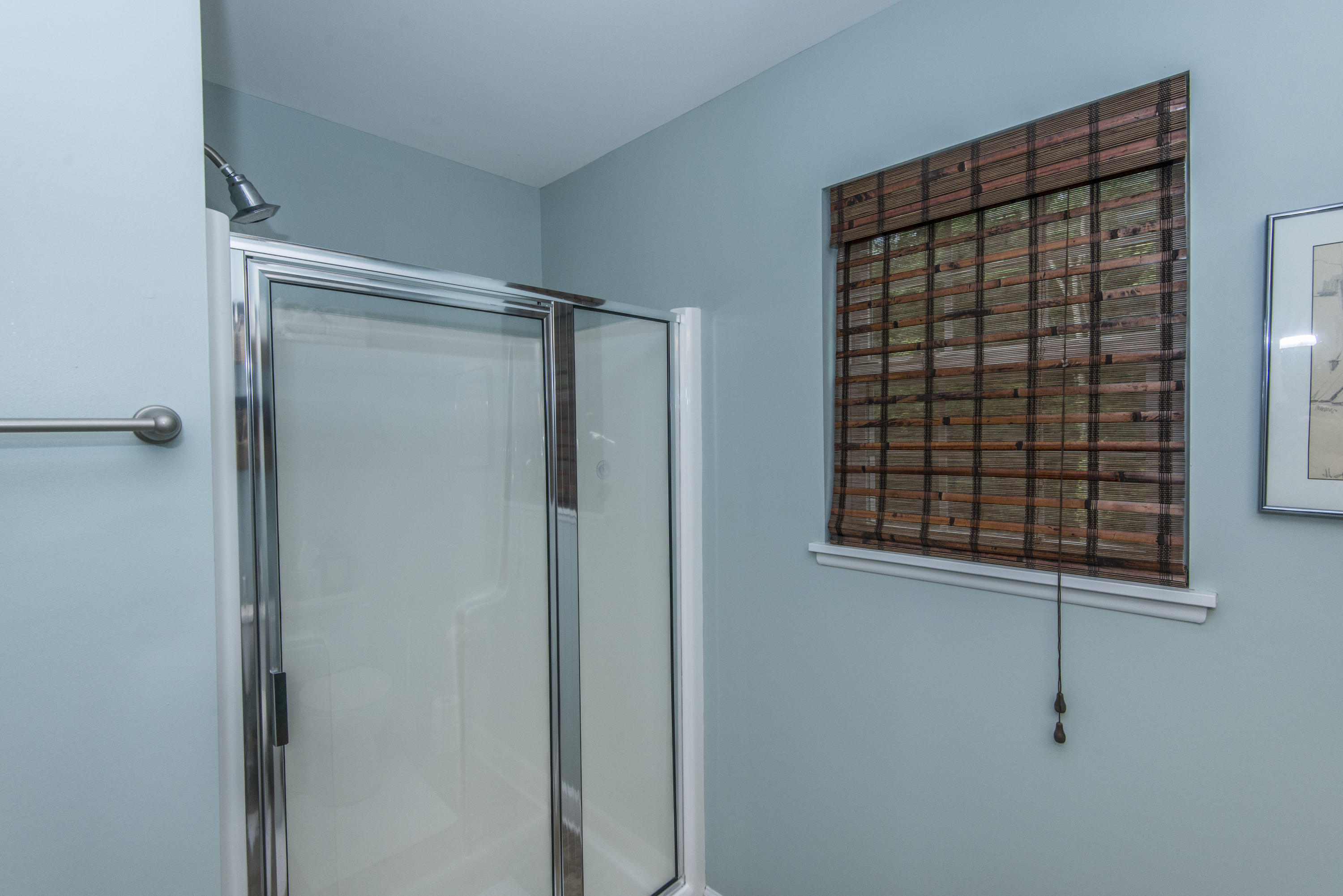 3463 Berryhill Road Johns Island, SC 29455 - Photo 16 of 37 Owner's suite shower
