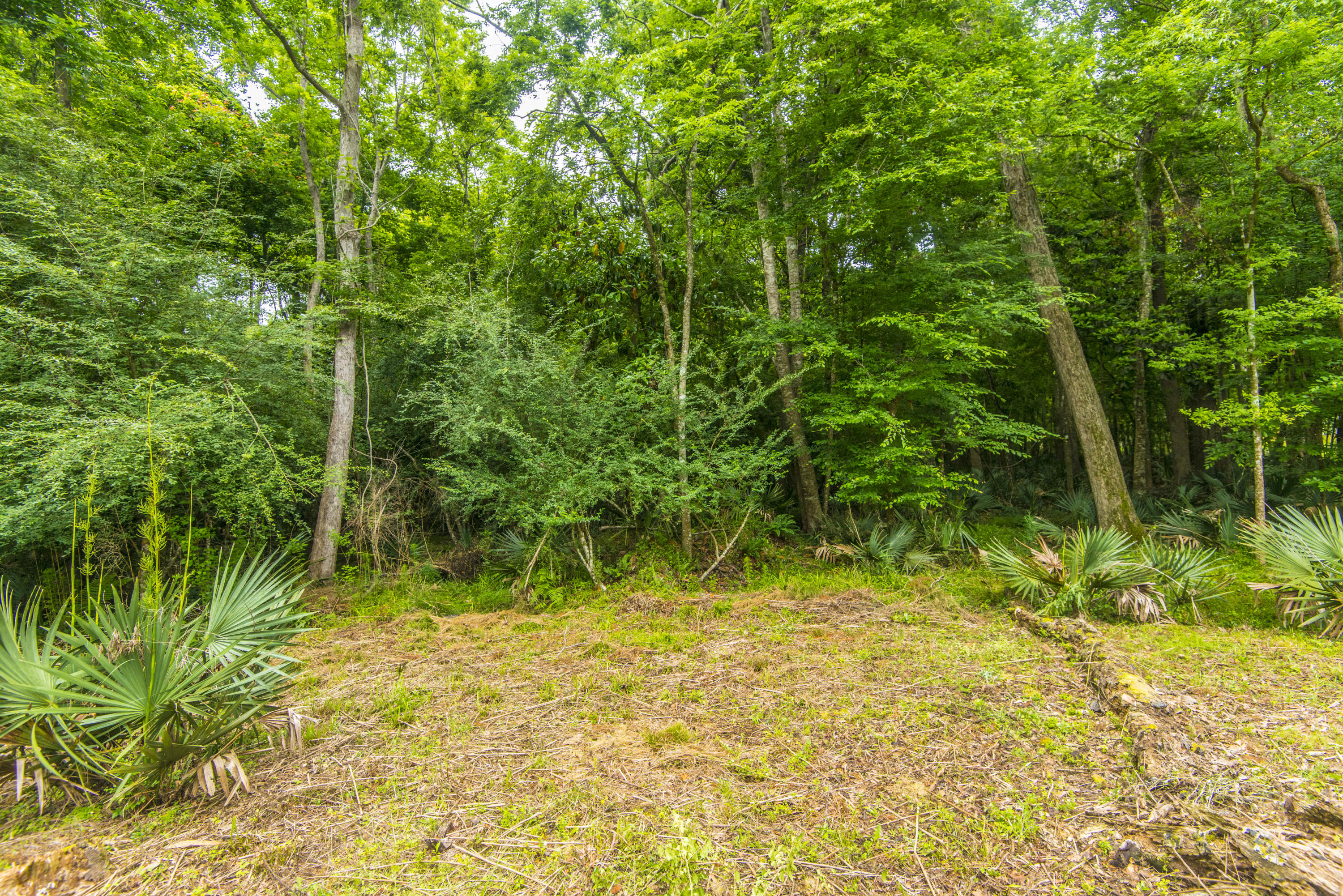 3463 Berryhill Road Johns Island, SC 29455 - Photo 33 of 37 Gorgeous
