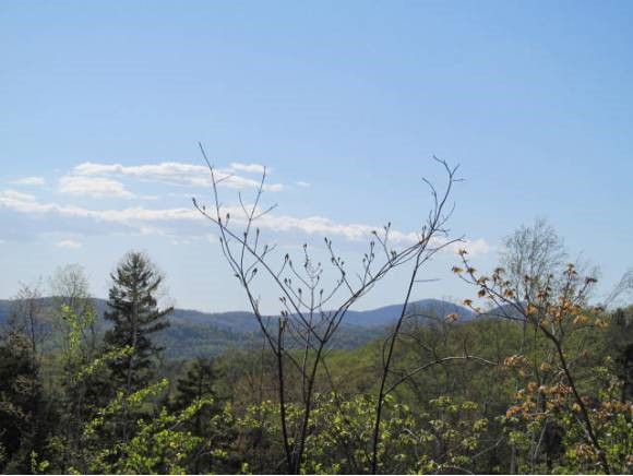 260 Lime Kiln Road Topsham, VT 05076 - Photo 1 of 1