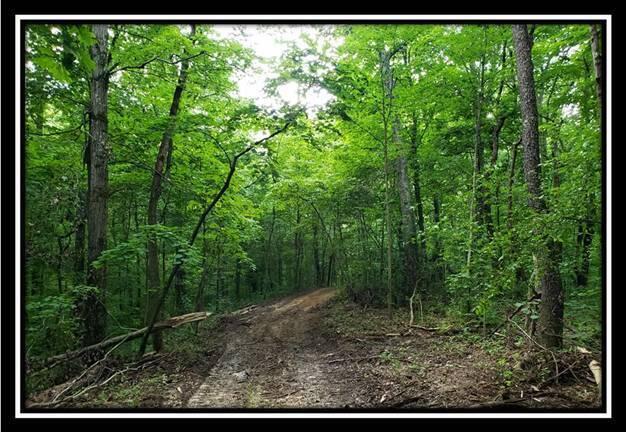 0 Pedigo Ridge Road, Unit TRACT 6) Nelsonville, OH 45764 - Photo 11 of 57 image011