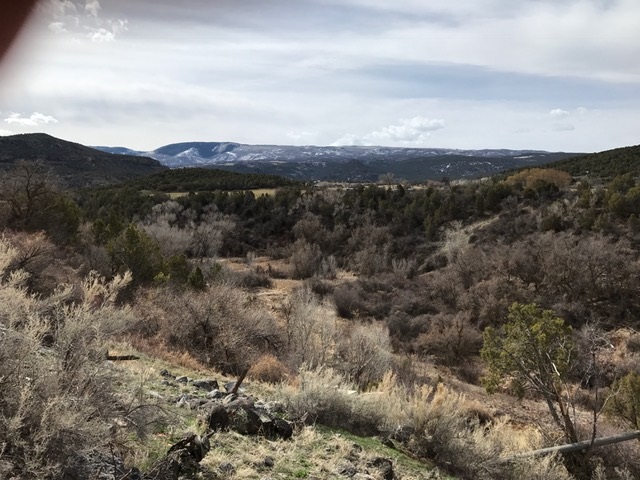 52968 KE Road Molina, CO 81646 - Photo 29 of 36 Gallery Image 29