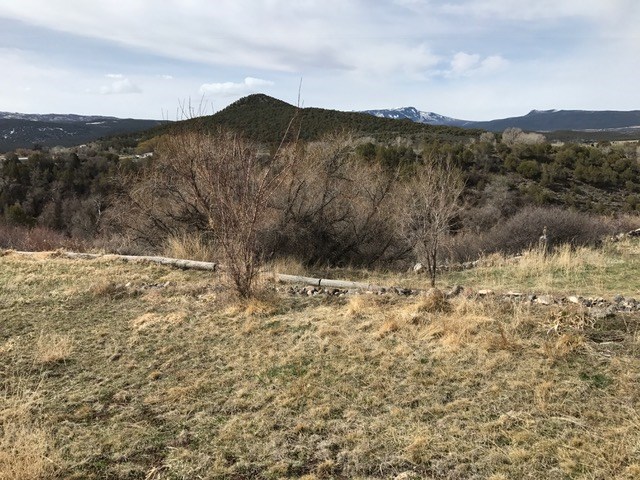 52968 KE Road Molina, CO 81646 - Photo 31 of 36 Gallery Image 31