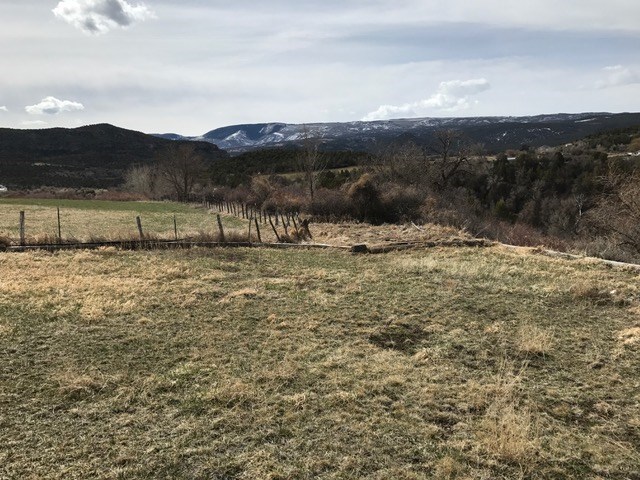 52968 KE Road Molina, CO 81646 - Photo 32 of 36 Gallery Image 32