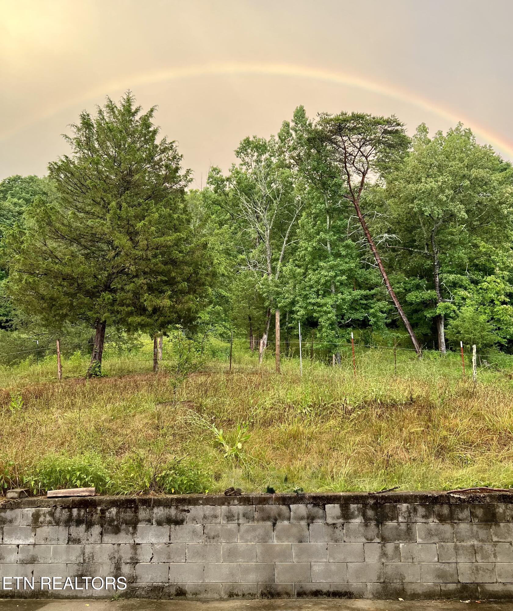 149 Hembree Lane Clinton, TN 37716 - Photo 7 of 33 IMG_7113